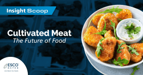 Cultivated Meat – The Future of Food